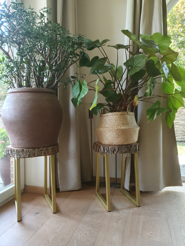Two indoor plants in decorative pots, one made of clay and the other woven, placed on stylish stands near a window with curtains.